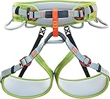 Climbing Technology Ascent - Arnés de Escalada - Verde Talla M/L 2017